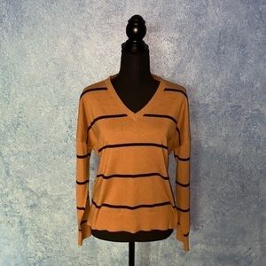 Loft Nutmeg V-Neck Sweater